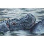 (image for) Hippo Maji Mtoto